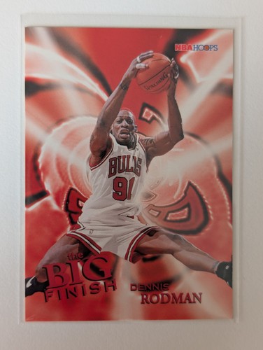 Dennis rodman 178 1996 - dennis,