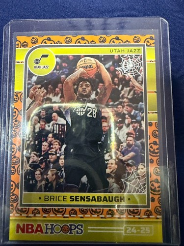 2024 panini nba - nba, brice